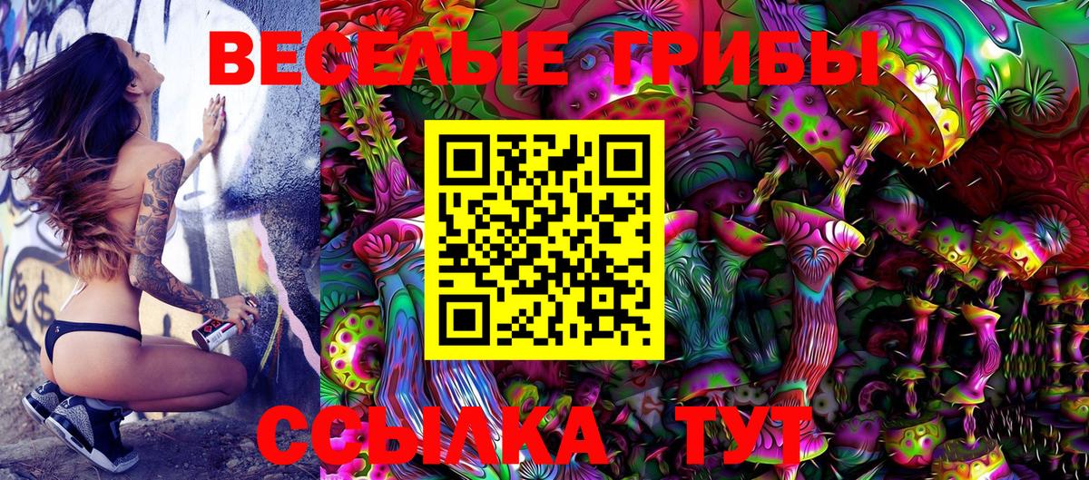 Мирный  Псилоцибиновые грибы GOLDEN TEACHER  сколько стоит  Вход с VPN 