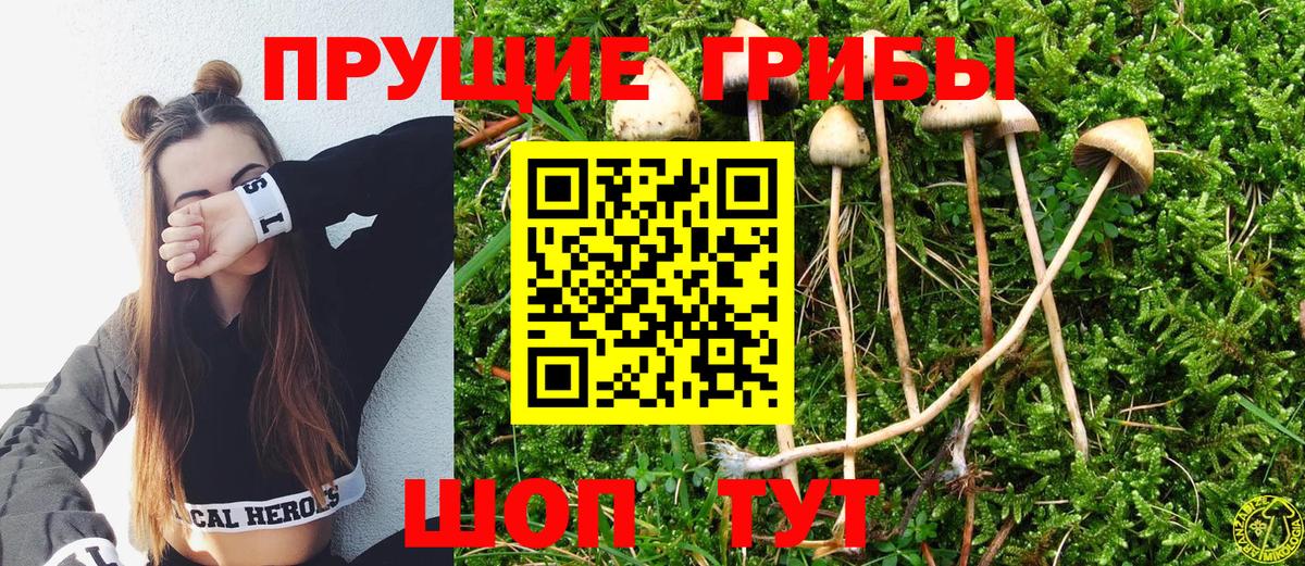 Псилоцибиновые грибы Cubensis Мирный